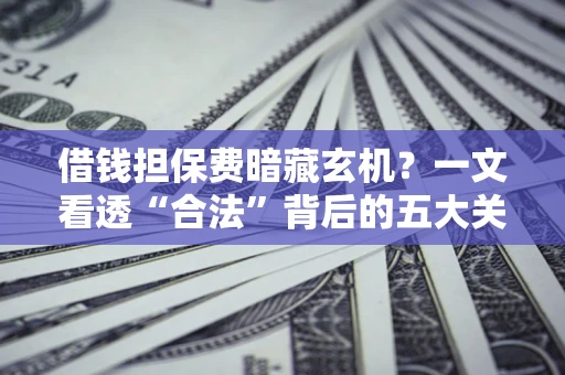 济南借钱担保费暗藏玄机？一文看透“合法”背后的五大关键陷阱