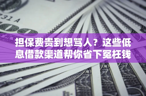 济南担保费贵到想骂人？这些低息借款渠道帮你省下冤枉钱
