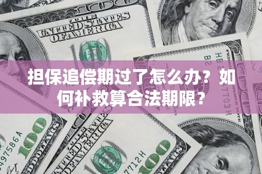 济南担保追偿期过了怎么办？如何补救算合法期限？