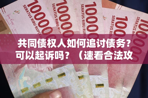 济南共同债权人如何追讨债务？可以起诉吗？（速看合法攻略）