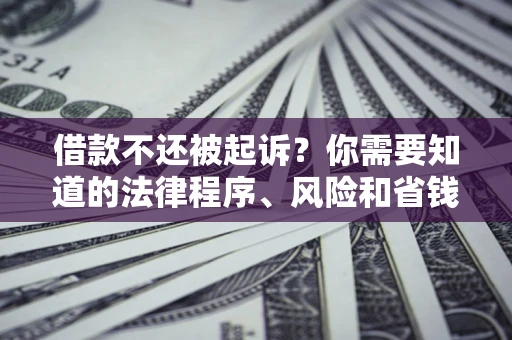 济南借款不还被起诉？你需要知道的法律程序、风险和省钱技巧